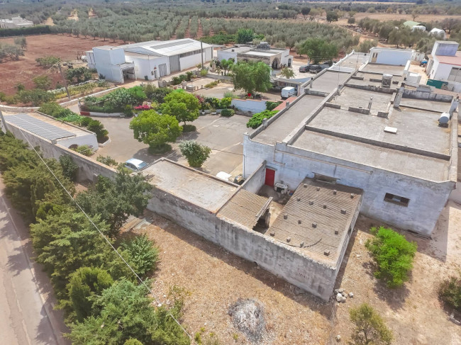 Cascina/Casale in vendita a Carovigno