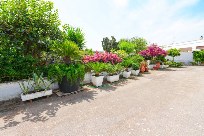 Cascina/Casale in vendita a Carovigno
