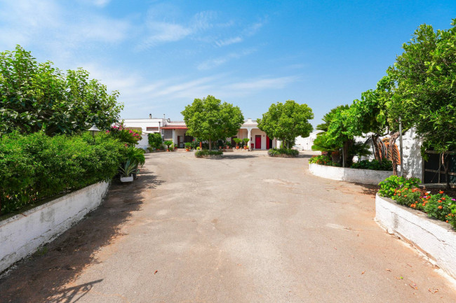 Cascina/Casale in vendita a Carovigno