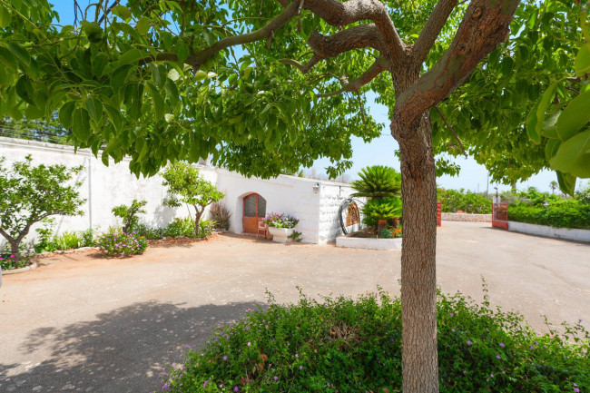 Cascina/Casale in vendita a Carovigno