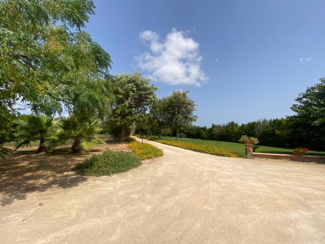  for sale in Brindisi