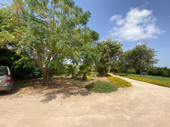  for sale in Brindisi