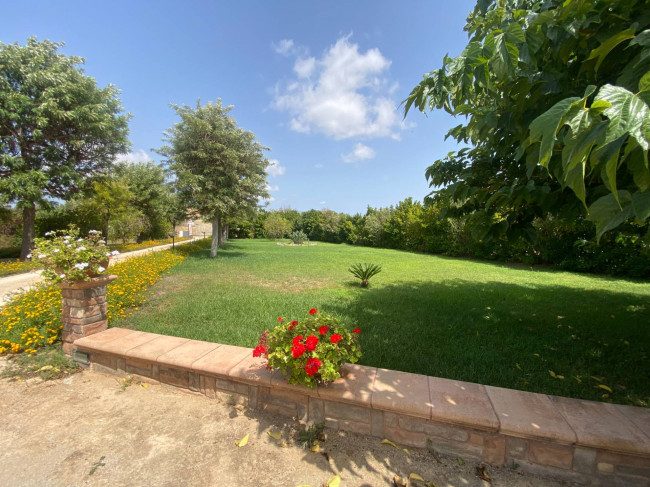  for sale in Brindisi