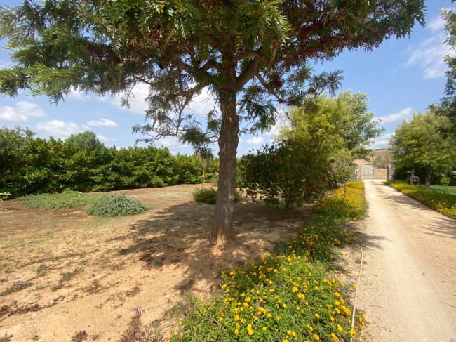  for sale in Brindisi