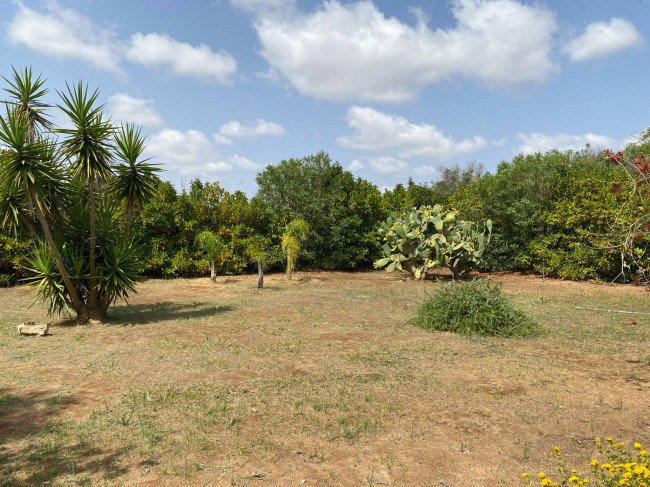  for sale in Brindisi