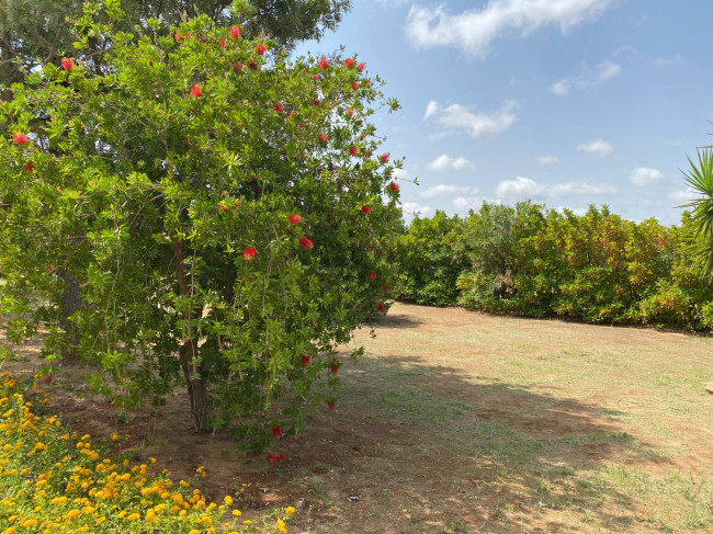  for sale in Brindisi