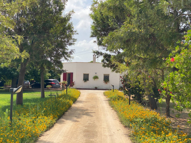  for sale in Brindisi