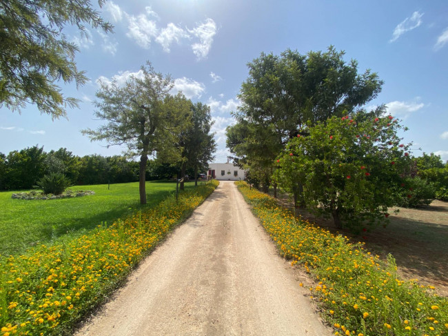  for sale in Brindisi