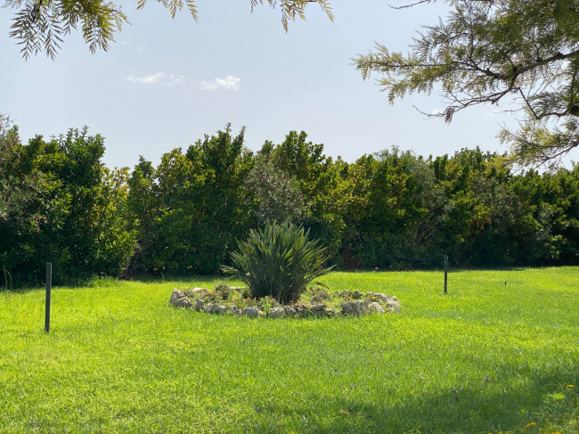  for sale in Brindisi