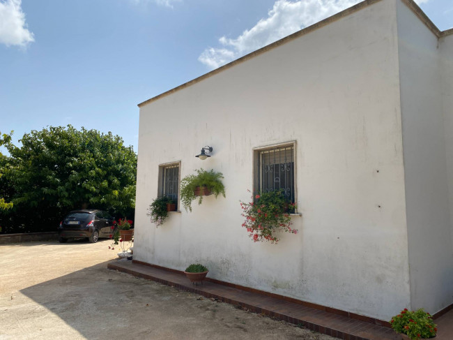  for sale in Brindisi