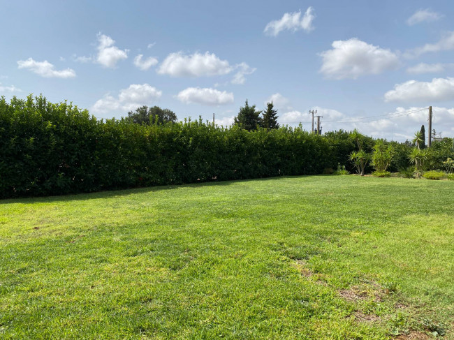  for sale in Brindisi