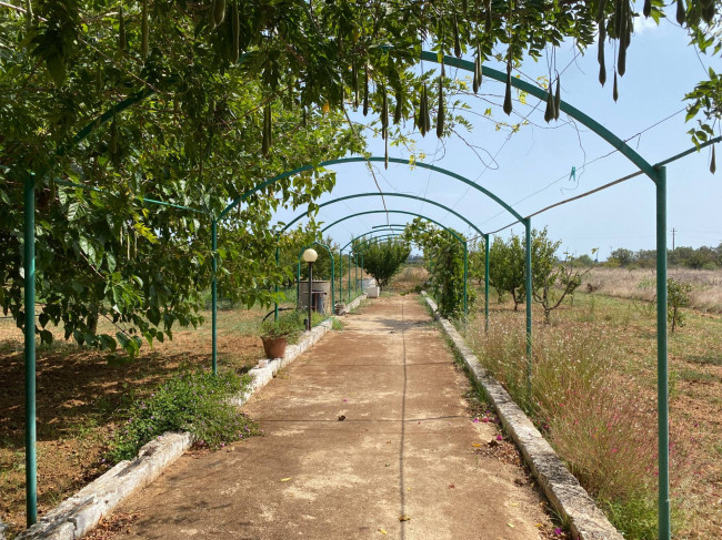  for sale in Brindisi