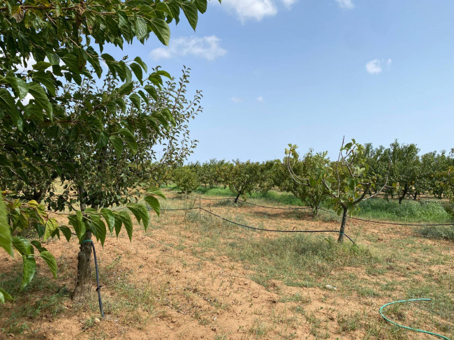  for sale in Brindisi