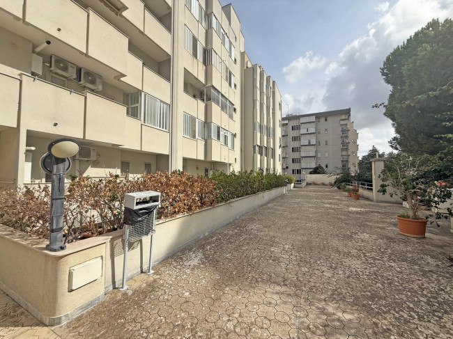  for sale in Brindisi