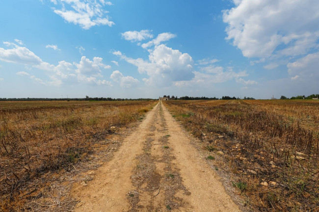 MASSERIA in vendita a Mesagne