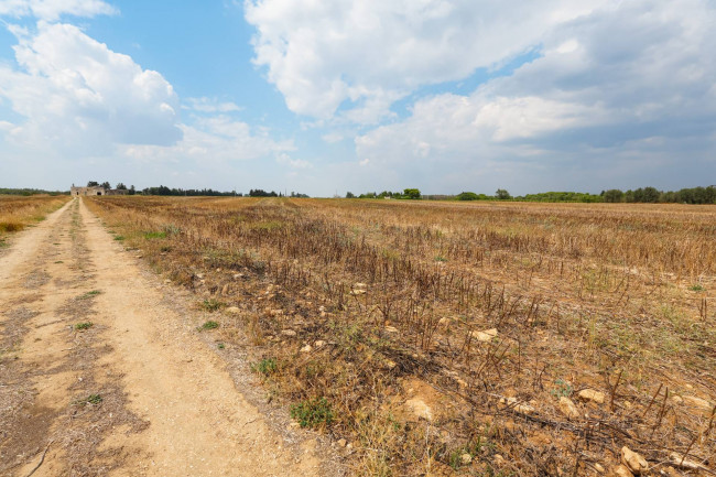 MASSERIA in vendita a Mesagne