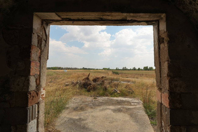 MASSERIA in vendita a Mesagne