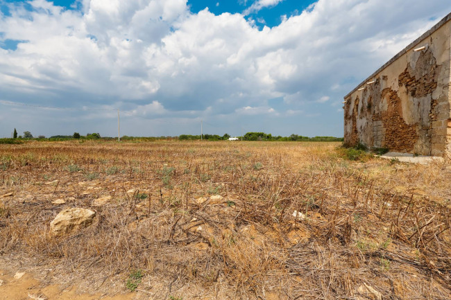 MASSERIA in vendita a Mesagne