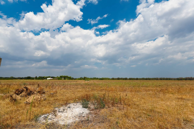 MASSERIA in vendita a Mesagne