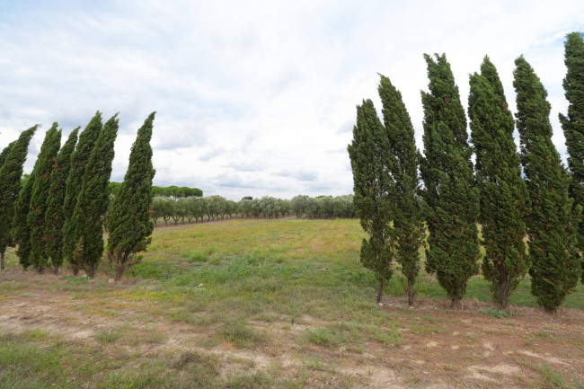  for sale in San Pancrazio Salentino