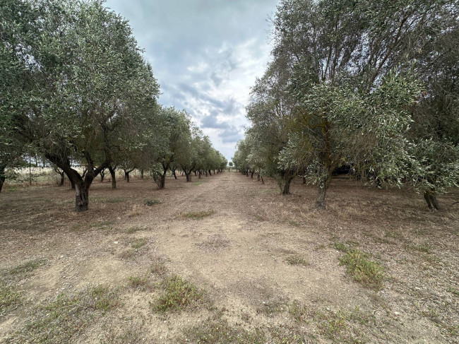  for sale in San Pancrazio Salentino