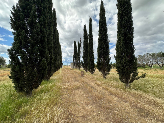  for sale in San Pancrazio Salentino