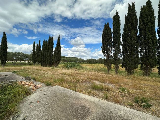  for sale in San Pancrazio Salentino