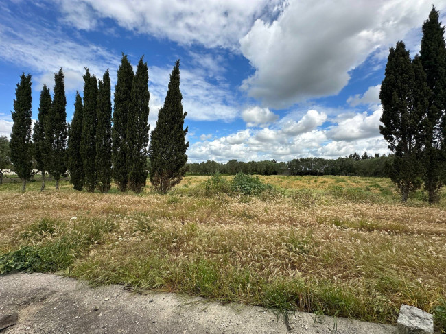  for sale in San Pancrazio Salentino