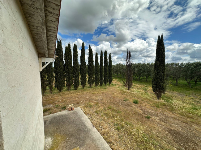  for sale in San Pancrazio Salentino