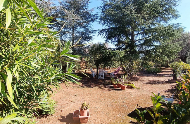 Villa singola in vendita a San Vito dei Normanni