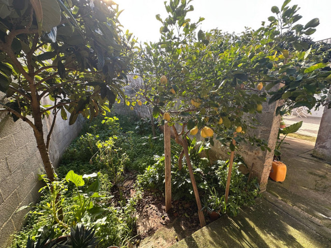  for sale in San Pietro Vernotico