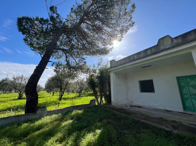 Villa o villino in vendita a Mesagne