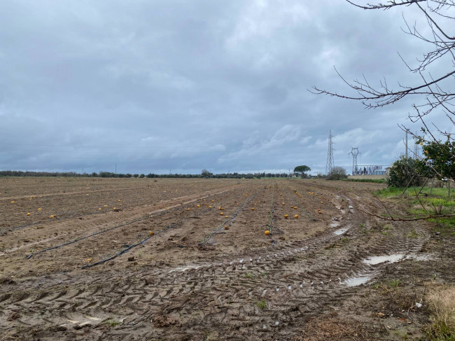 Rustico in vendita a Brindisi
