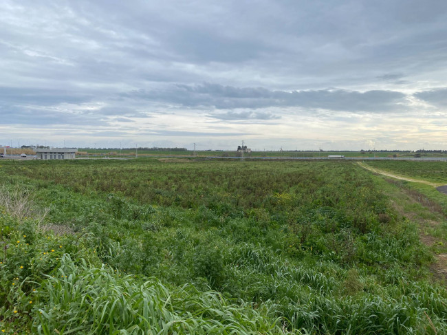 Terreno in vendita a Brindisi