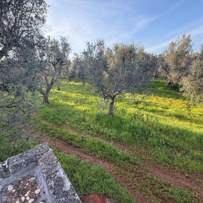 Villa o villino in vendita a Latiano