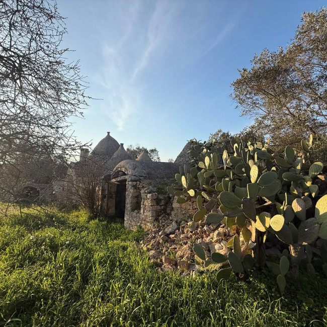  for sale in San Michele Salentino