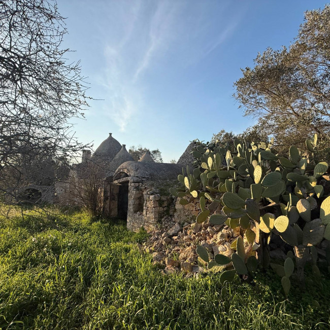  for sale in San Michele Salentino