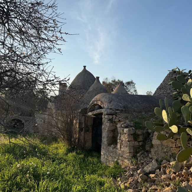  for sale in San Michele Salentino