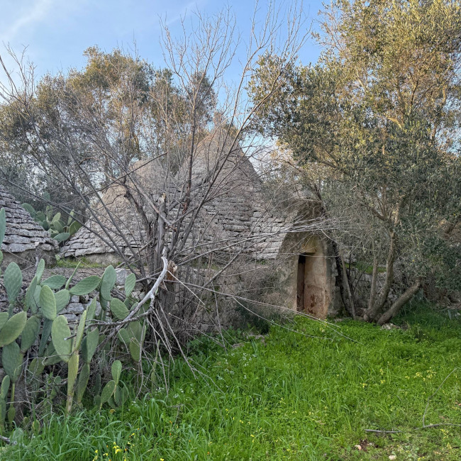  for sale in San Michele Salentino