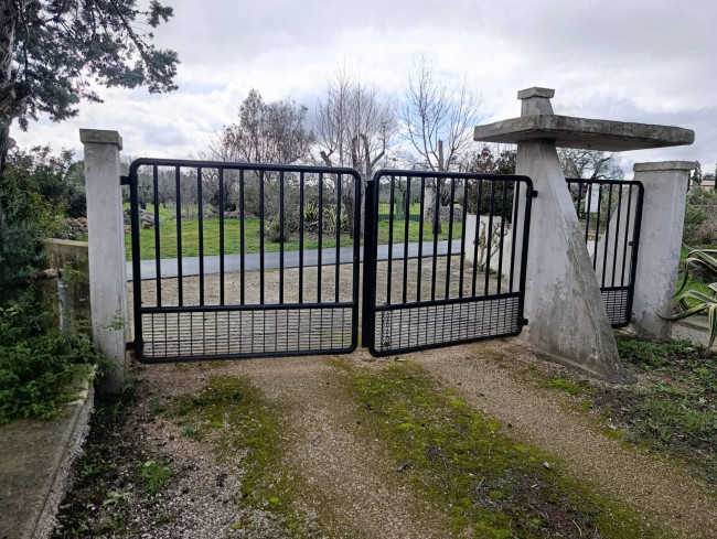 Terreno in vendita a San Vito dei Normanni