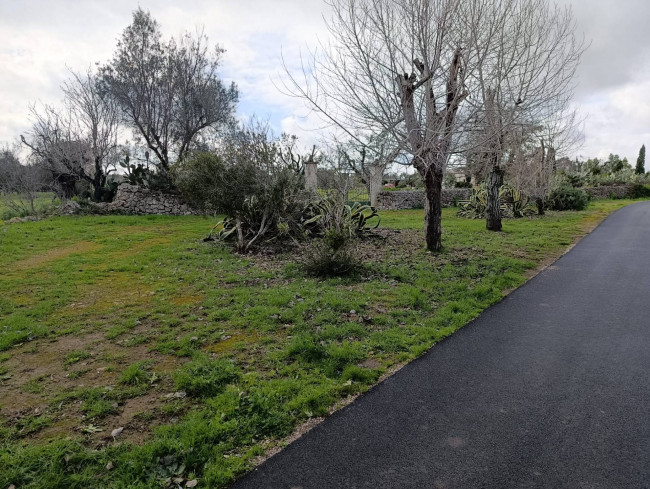 Terreno in vendita a San Vito dei Normanni