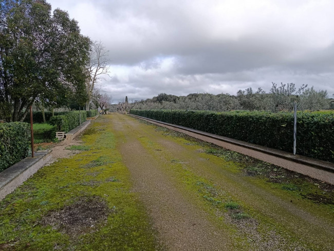 Terreno in vendita a San Vito dei Normanni