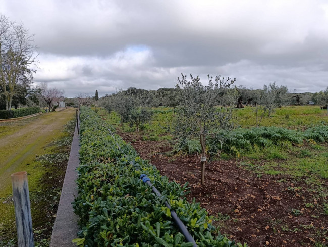 Terreno in vendita a San Vito dei Normanni