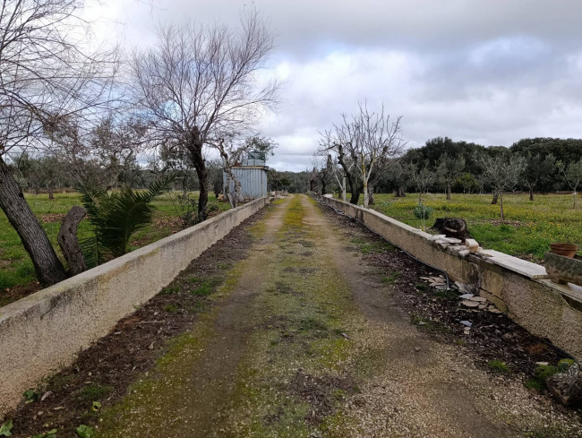 Terreno in vendita a San Vito dei Normanni