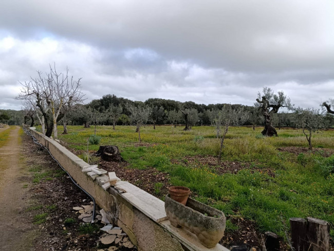 Terreno in vendita a San Vito dei Normanni