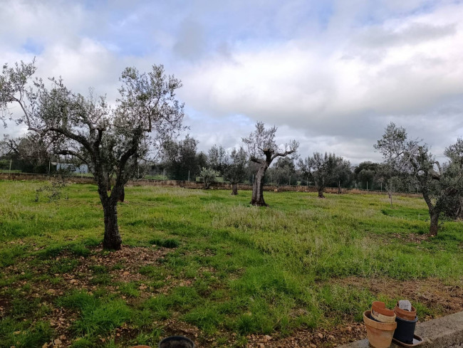 Terreno in vendita a San Vito dei Normanni