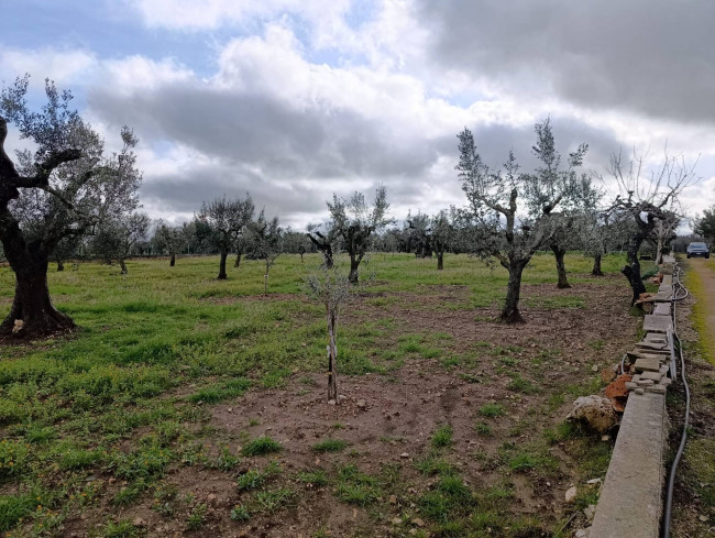 Terreno in vendita a San Vito dei Normanni