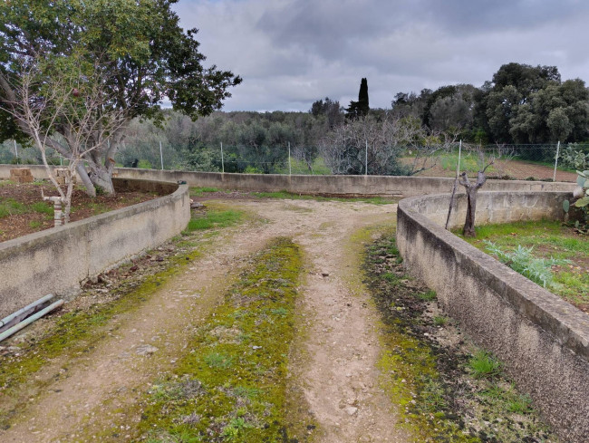 Terreno in vendita a San Vito dei Normanni