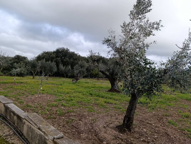 Terreno in vendita a San Vito dei Normanni