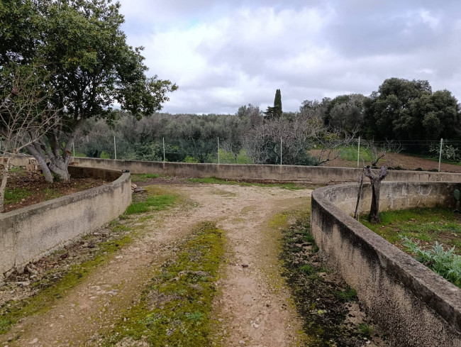 Terreno in vendita a San Vito dei Normanni